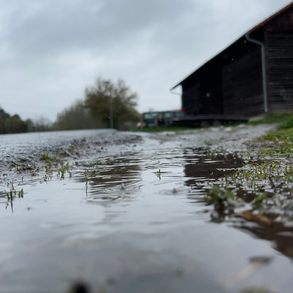 Rainy day in Frankfurt
